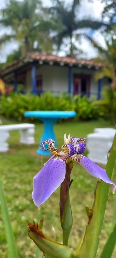 Finca Hotel Villa Del Sol プエブロ・タパオ エクステリア 写真